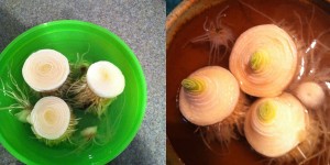 leeks