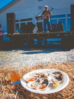 radical beer fest-1953