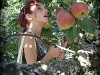 apple_picking_08