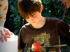apple_picking_13