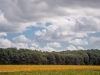 web-fall-photos-0303