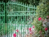web-fall-photos-0315