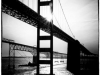 Debbie Fitch Photography 11