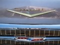 Berlin Cruisers-4453