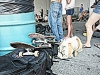 unlock_the_spot_027