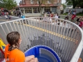 mayday play day-0315