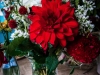 jamie-shelly-wedding-0127