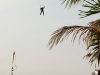 mackys-air-show-2011-04