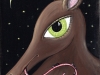 anteater001