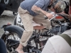web-race-of-gentleman-0645