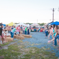 radical beer fest-2026