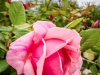 sanity-break-2013-web-0779