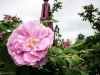 sanity-break-2013-web-0780