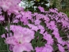 sanity-break-2013-web-0782