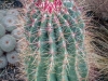sanity-break-2013-web-0806