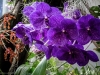 sanity-break-2013-web-0815