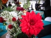 jamie-shelly-wedding-2869