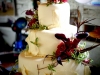 gussie_and_tom_05