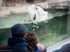 williamsburg-2012-7533