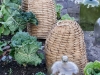 williamsburg-2012-7635
