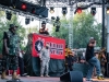 firefly-2013-web-1557